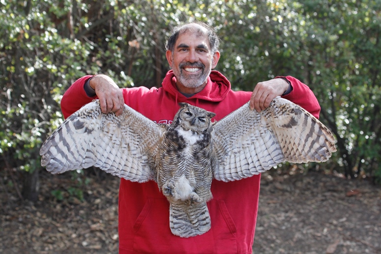 great horned